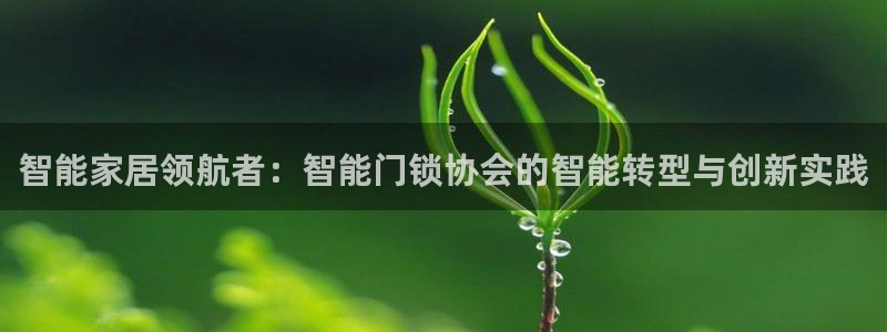 开丰娱乐咋7O777：智能家居领航者：智能门锁协会的智能转型
