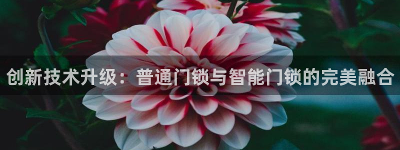 开丰娱乐登陆：创新技术升级：普通门锁与智能门锁的完美融合