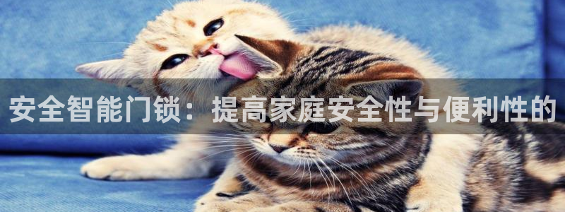 开丰娱乐趣 7O935：安全智能门锁：提高家庭安全性与便利性