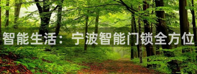 圩丰刚开的娱乐场所：智能生活：宁波智能门锁全方位
