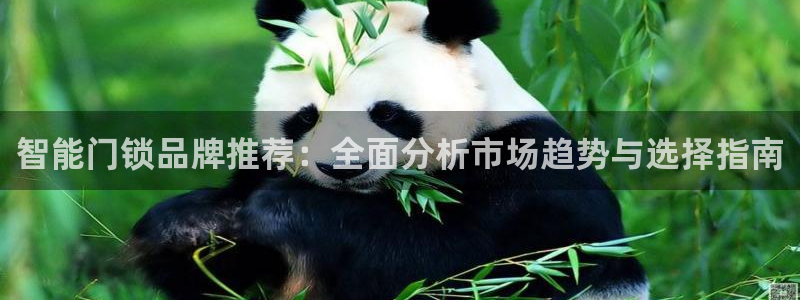 开丰娱乐月：智能门锁品牌推荐：全面分析市场趋势与选择指南