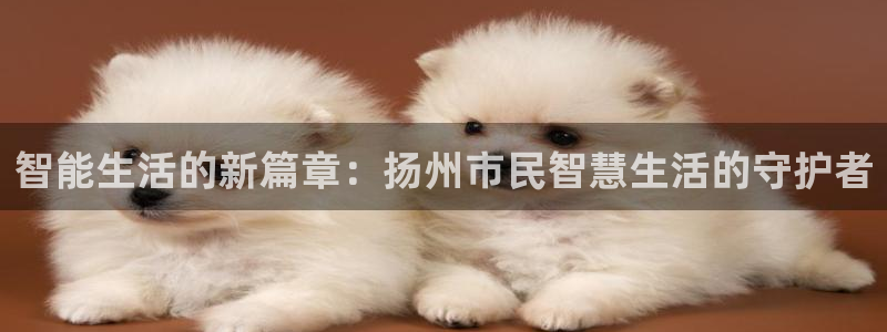 圩丰刚开的娱乐场所：智能生活的新篇章：扬州市民智慧生活的守护