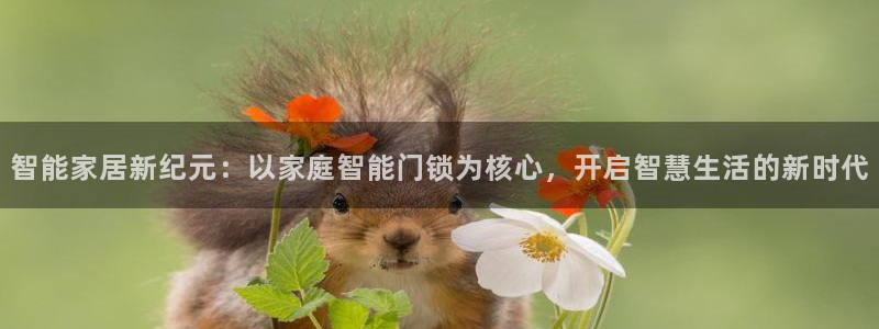 开丰娱乐不开了吗：智能家居新纪元：以家庭智能门锁为核心，开启