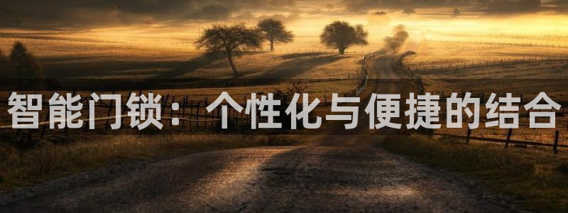 开丰娱乐登陆：智能门锁：个性化与便捷的结合