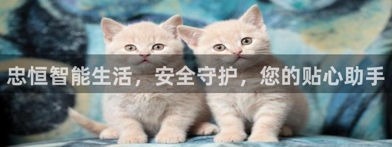 开丰娱乐登入地址在哪里：忠恒智能生活，安全守护，您的贴心助手
