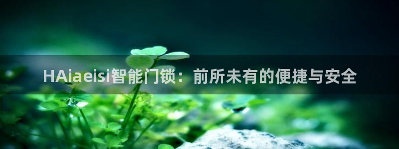 开丰娱乐千67五壹叁八：HAiaeisi智能门锁：前所未有的