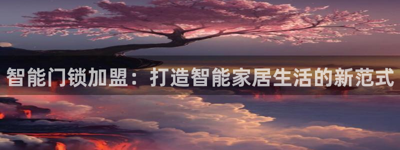 开丰娱乐上：智能门锁加盟：打造智能家居生活的新范式