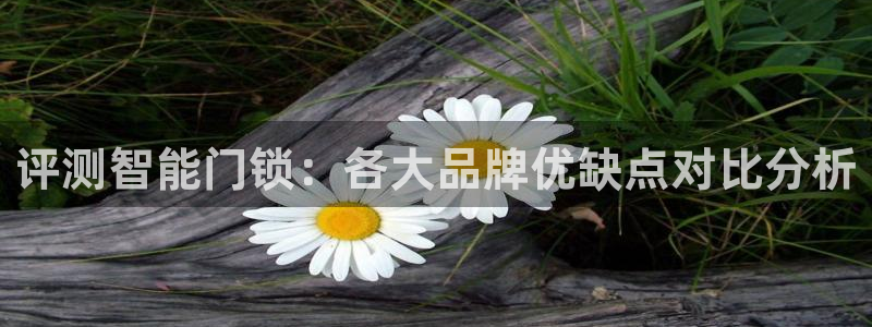 开丰娱乐下7O667：评测智能门锁：各大品牌优缺点对比分析
