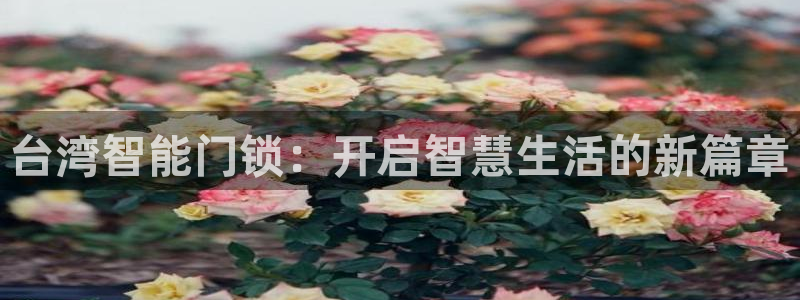 开丰娱乐左：台湾智能门锁：开启智慧生活的新篇章
