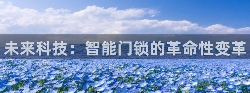 开丰娱乐平台提现失败：未来科技：智能门锁的革命性变革