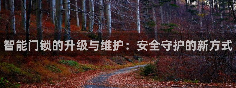 开丰娱乐月：智能门锁的升级与维护：安全守护的新方式