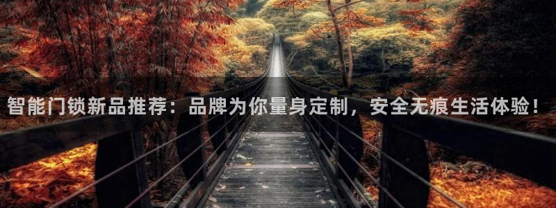开丰娱乐下载安装：智能门锁新品推荐：品牌为你量身定制，安全无