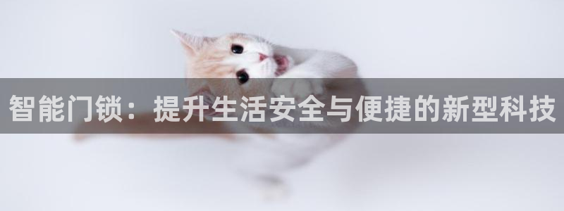 开丰娱乐前：智能门锁：提升生活安全与便捷的新型科技