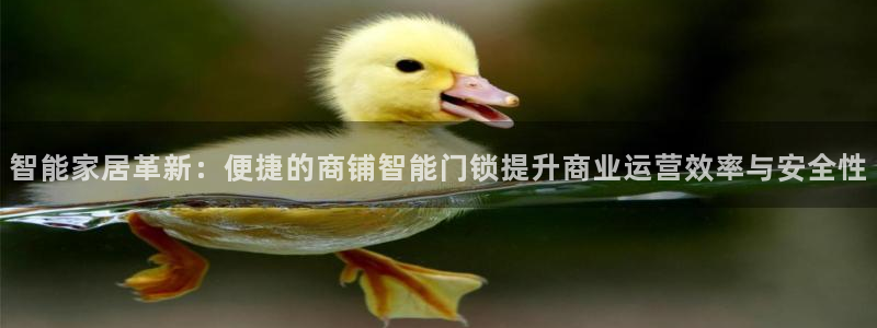 开丰娱乐千67五壹叁八：智能家居革新：便捷的商铺智能门锁提升