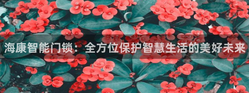 开丰娱乐登入：海康智能门锁：全方位保护智慧生活的美好未来