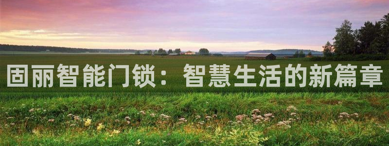 开丰娱乐上：固丽智能门锁：智慧生活的新篇章