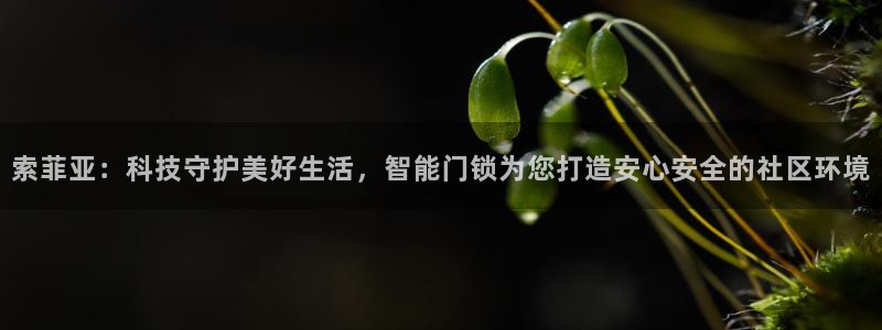 开丰娱乐官网招聘：索菲亚：科技守护美好生活，智能门锁为您打造