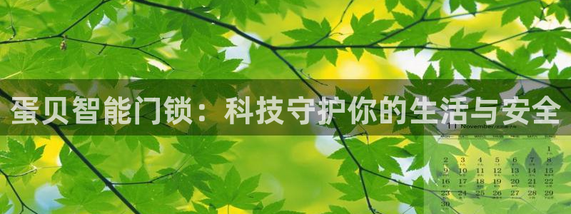 开丰娱乐千67五壹叁八：蛋贝智能门锁：科技守护你的生活与安全