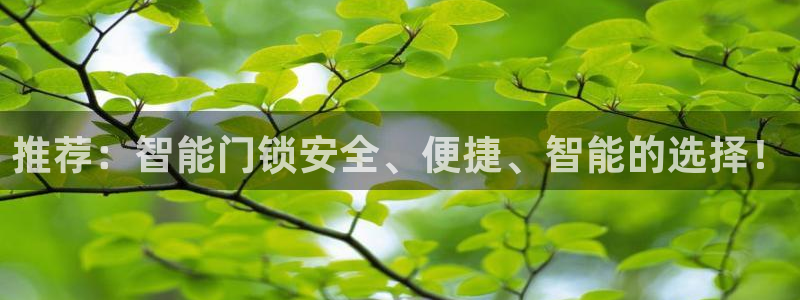 开丰娱乐 赢咖一：推荐：智能门锁安全、便捷、智能的选择！