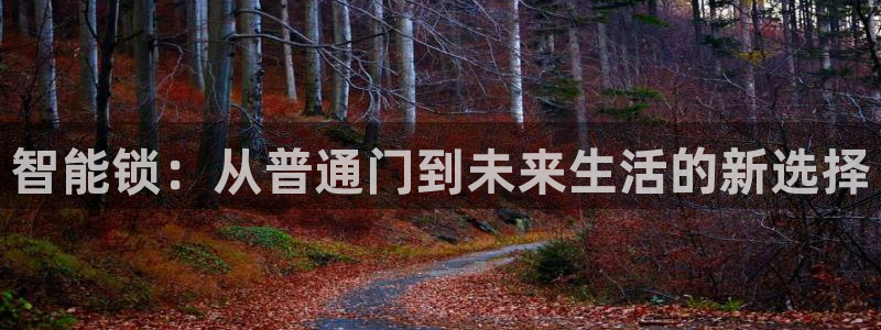 开丰娱乐右7O667：智能锁：从普通门到未来生活的新选择