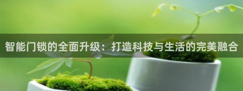 开丰娱乐线路：智能门锁的全面升级：打造科技与生活的完美融合