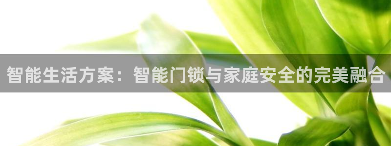 开丰娱乐登入地址在哪查：智能生活方案：智能门锁与家庭安全的完