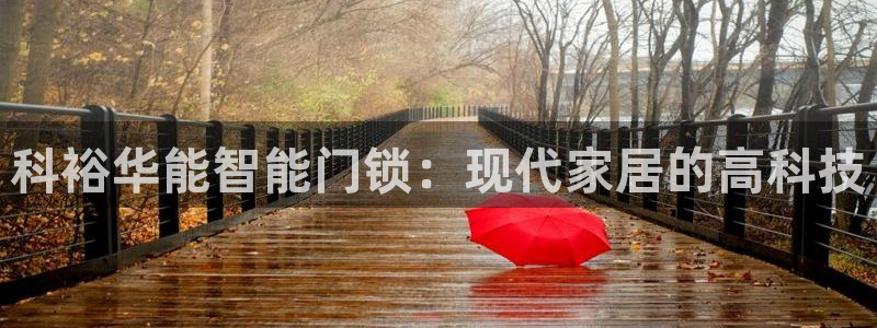 开丰娱乐巾67五壹叁八：科裕华能智能门锁：现代家居的高科技