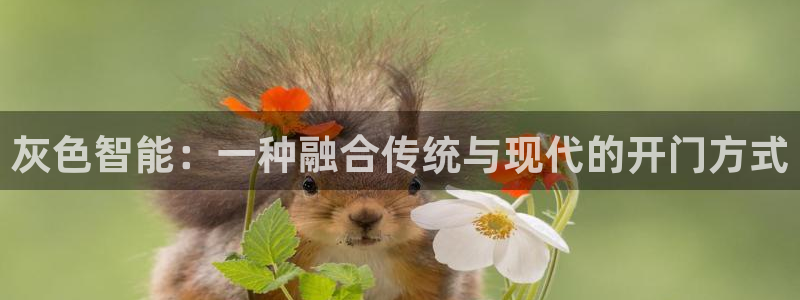 开丰娱乐主管家去判官333OO：灰色智能：一种融合传统与现代
