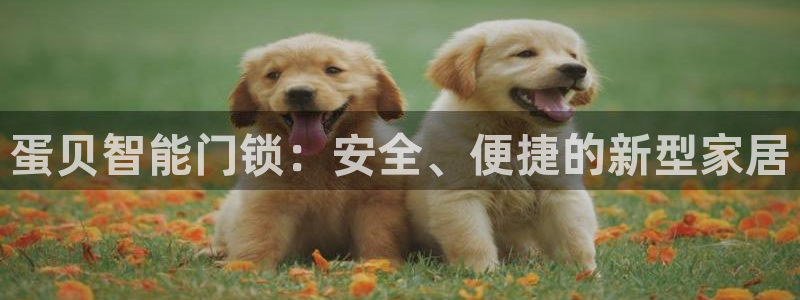 开丰娱乐更多平台：蛋贝智能门锁：安全、便捷的新型家居