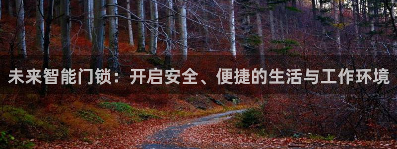 开丰娱乐怎么开转点：未来智能门锁：开启安全、便捷的生活与工作