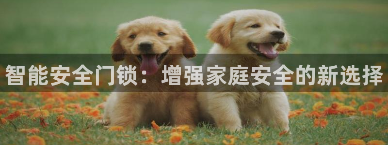 开丰娱乐天：智能安全门锁：增强家庭安全的新选择