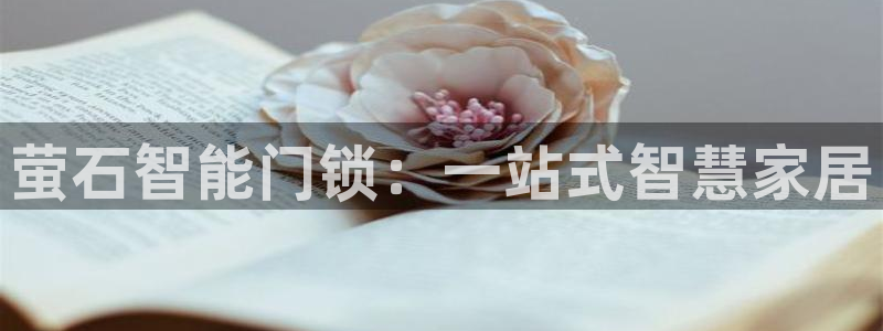 开丰娱乐山67五壹叁八：萤石智能门锁：一站式智慧家居