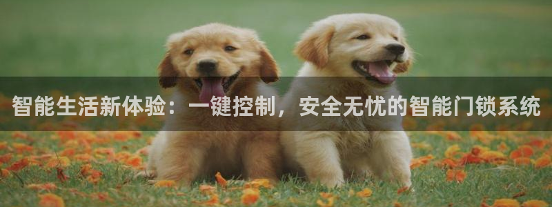 开丰娱乐官网平台电话