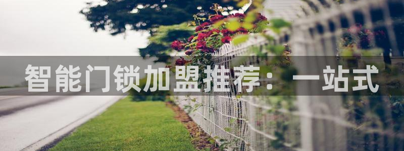 开丰娱乐登录平台：智能门锁加盟推荐：一站式