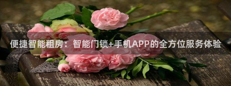开丰娱乐开户：便捷智能租房：智能门锁+手机APP的全方位服务