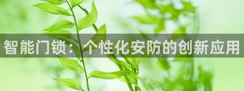 开丰娱乐网站：智能门锁：个性化安防的创新应用