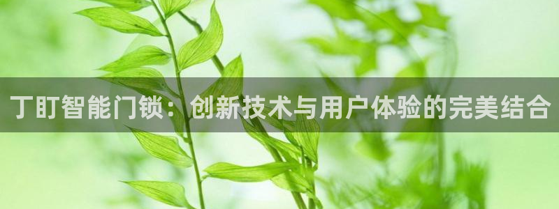 开丰娱乐登入地址查询：丁盯智能门锁：创新技术与用户体验的完美