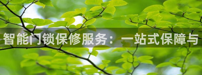 开丰娱乐开户：智能门锁保修服务：一站式保障与
