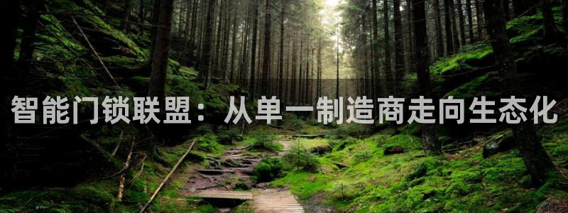 开丰娱乐上：智能门锁联盟：从单一制造商走向生态化