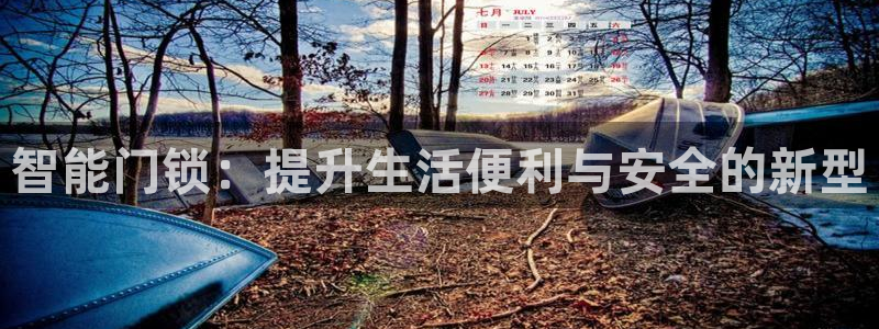 开丰娱乐登录网址：智能门锁：提升生活便利与安全的新型