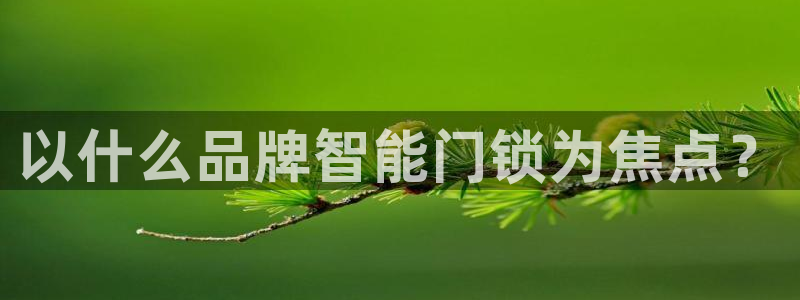 开丰娱乐平台注册地址：以什么品牌智能门锁为焦点？