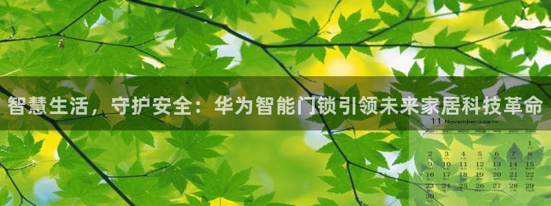 开丰娱乐注册自判官333OO：智慧生活，守护安全：华为智能门