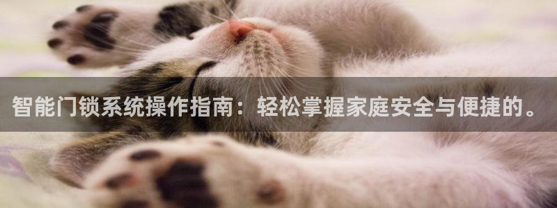 开丰娱乐网官网注册入口：智能门锁系统操作指南：轻松掌握家庭安