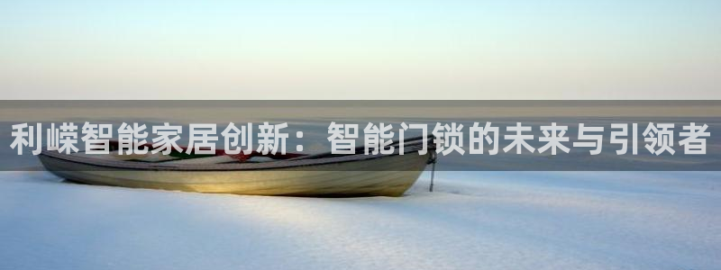开丰娱乐官网平台下载：利嵘智能家居创新：智能门锁的未来与引领