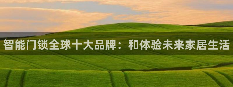 开丰娱乐天7O667：智能门锁全球十大品牌：和体验未来家居生