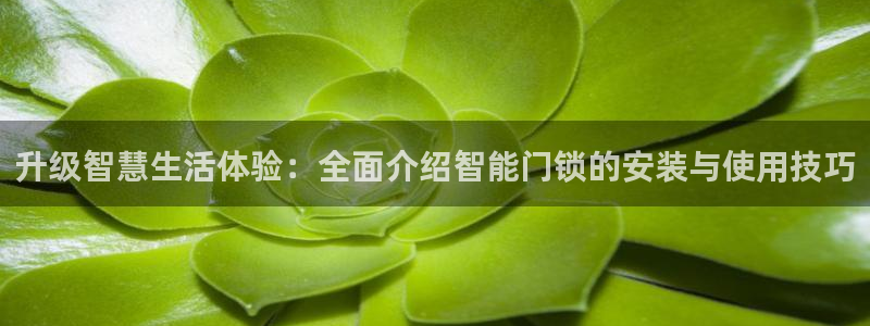 开丰娱乐右7O667：升级智慧生活体验：全面介绍智能门锁的安