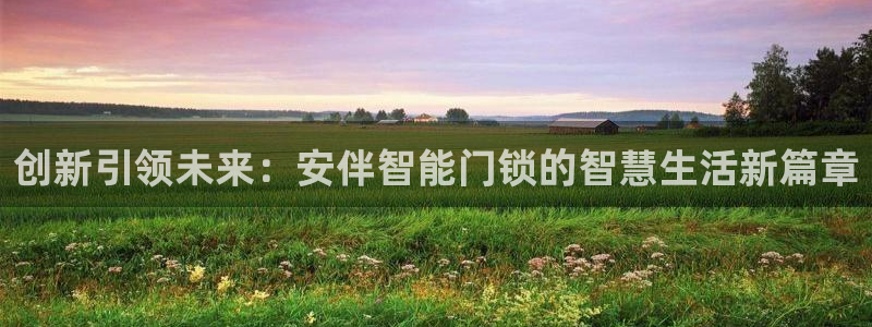 开丰娱乐官网：创新引领未来：安伴智能门锁的智慧生活新篇章