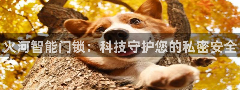 开丰娱乐官方app：火河智能门锁：科技守护您的私密安全