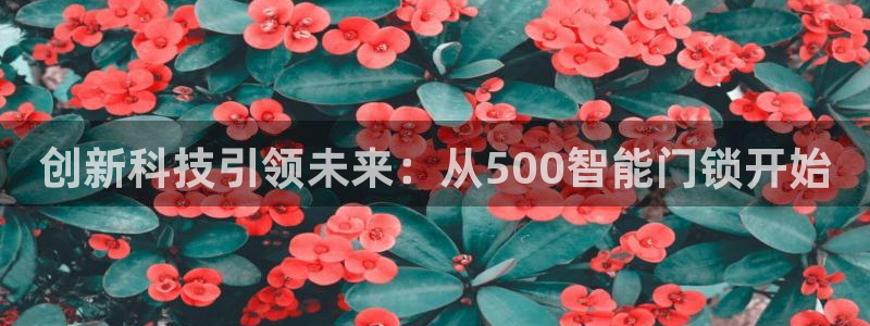 开丰娱乐登录平台：创新科技引领未来：从500智能门锁开始