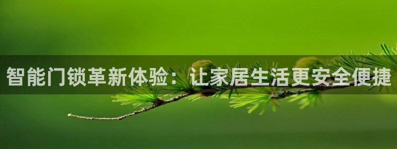 如何注册开丰娱乐账号：智能门锁革新体验：让家居生活更安全便捷